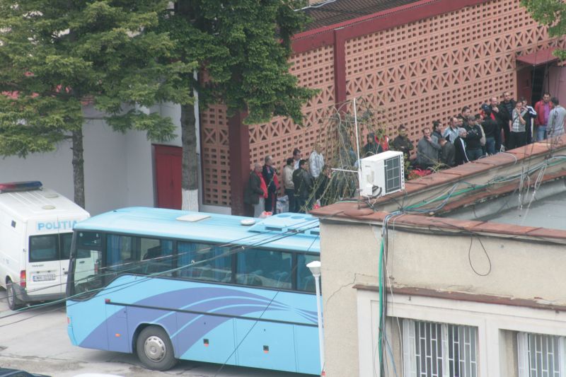 Vameşi din "Lotul Moraviţa", transferaţi la Timişoara