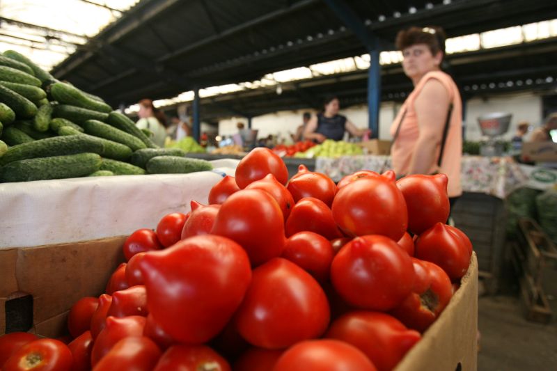 Să nu ne fie frică de roşiile italiene şi spaniole, ci de veşnicia lor...! Salvaţi roşia românească gustoasă!
