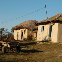 Tânără legată cu lanţul de părinţi. Al doilea caz în 24 de ore | VIDEO
