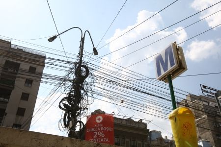 Bani de la stat pentru ca păsările să nu se mai electrocuteze