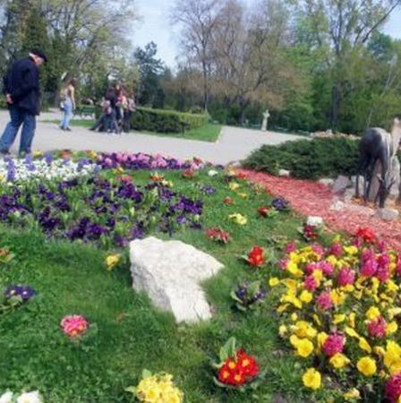 Olărit, concerte și cursuri de dans, în Parcul Herăstrău
