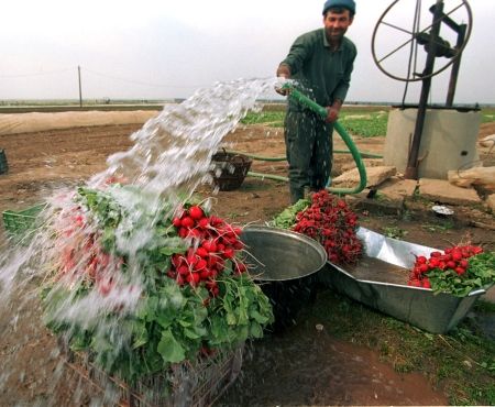 Boc: Putem avea pierderi la recolta din 2012, dacă nu va ploua din octombrie. Meteorologii sunt optimişti