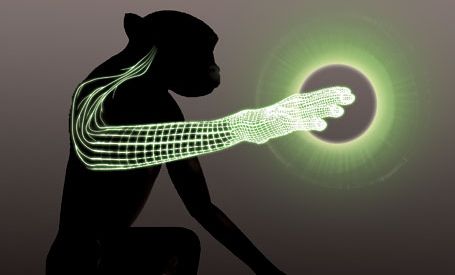 Maimuţele au mişcat un braţ virtual cu puterea minţii