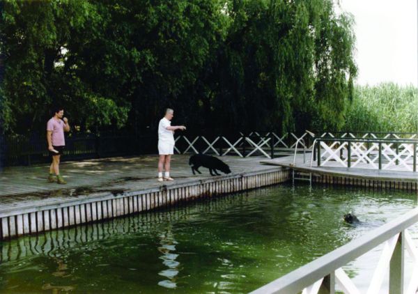 Poze rare cu Nea Nicu şi Elena la piscină şi la vânătoare