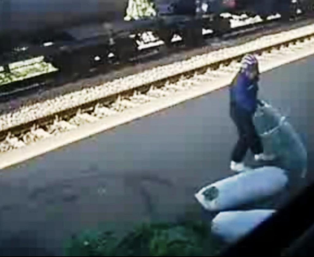 Afaceri cu moartea. Cât câştigă un traficant de crenguţe de brad când se împuţinează oamenii