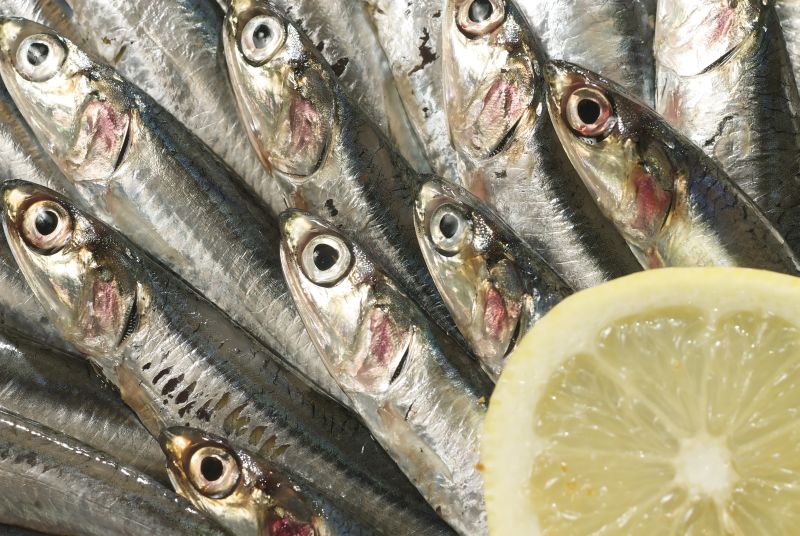 Consumul de peşte reduce riscul de Alzheimer