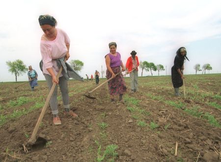 Plăţile pentru dezvoltare rurală: 1,56 miliarde euro
