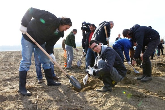 Un producător auto şi-a propus să ridice o pădure pe malul Dunării