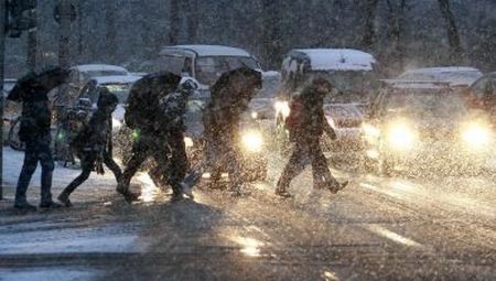 AVERTIZARE DE VÂNT PUTERNIC ÎN SUDUL ŢĂRII. Urmările furtunii: Un mort, zeci de copaci căzuţi şi de maşini avariate | FOTO