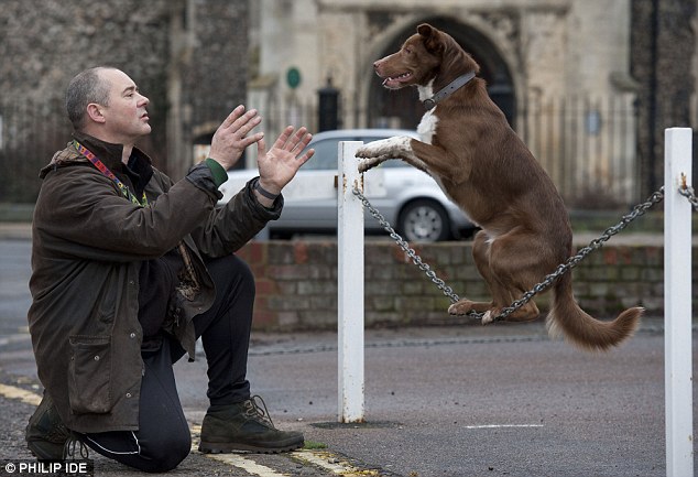 Câinele care face echilibristică|VIDEO