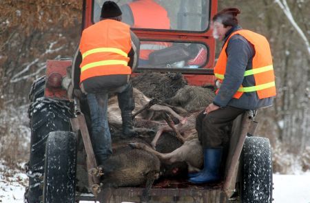 Oaspeţii miliardari ai lui Ion Ţiriac se pregătesc să vină la Balc, la vânătoarea anuală de mistreţi