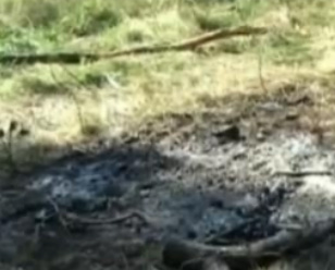 18, respectiv 16 ani de închisoare pentru omor şi incendierea cadavrului. Şi totuşi, puţin!