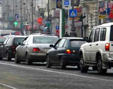 Bizon în trafic, în Arad