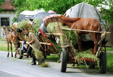 CĂRUŢELE SE CONFISCĂ. Vezi ce primărie a luat această decizie