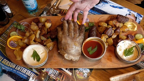 LABA DE URS, la loc de cinste în preferinţele gurmanzilor!