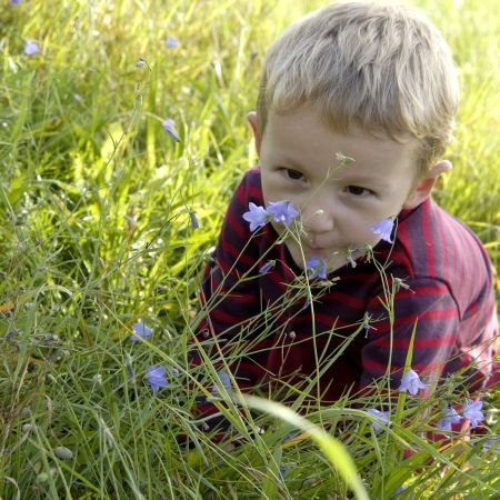 Povestea băieţelului care, din cauza unei alergii, nu avea voie nici să privească pe geam