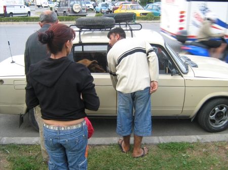 Ultima strigare pentru locuri de parcare