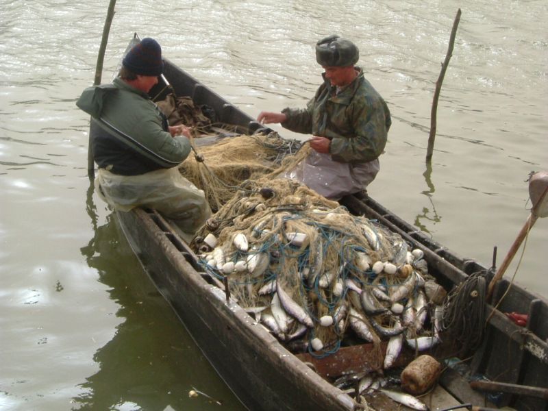 Atenţie pescari! După Paşti, începe prohibiţia