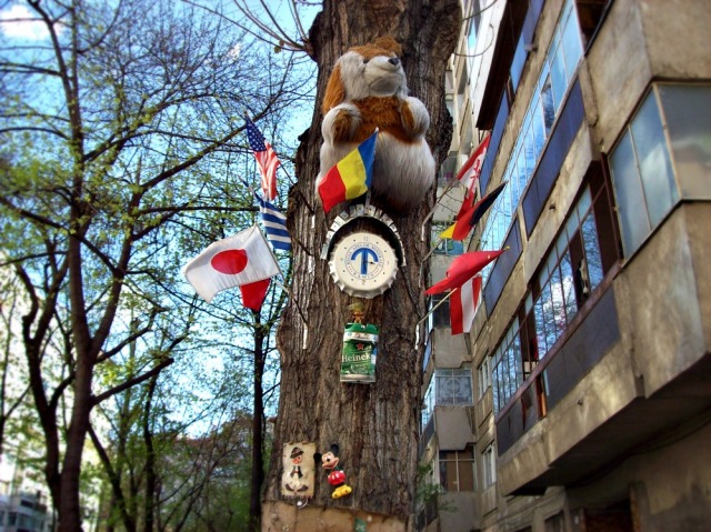 Cartierul din București unde vecinii se înțeleg cel mai bine. VEZI aici DOVADA CLARĂ