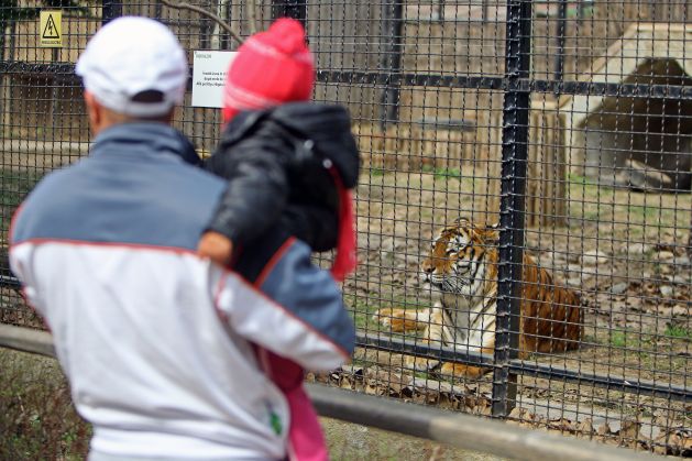 Grădina Zoologică, aşa cum nu aţi mai văzut-o. IMAGINI PANORAMICE 360°