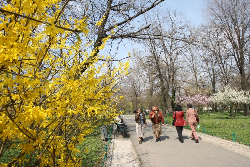 Mult soare în toată țara. VEZI cum va fi vremea de 1 Mai!