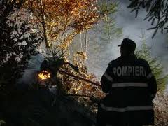 PĂDURE INCENDIATĂ DE LA GRĂTAR. Un sucevean a prăjit slănină, alţi 400 au stins pârjolul