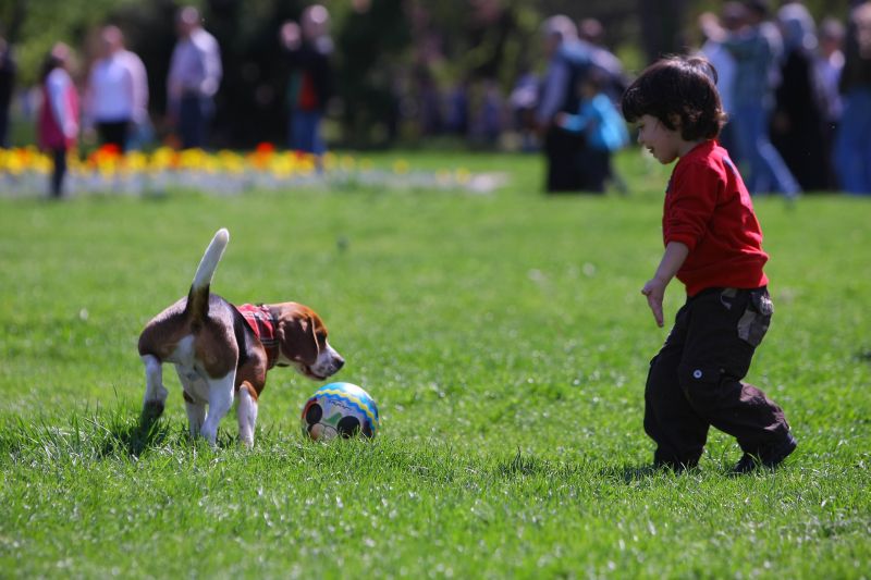 Primăria Capitalei începe lupta împotriva căpușelor