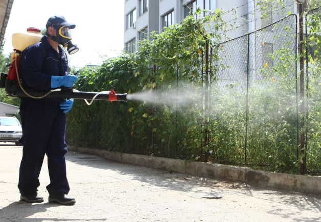 Războiul cu căpuşele. Capitala începe dezinsecţia fără Oprescu
