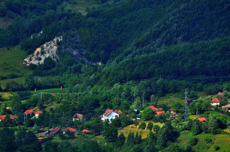 Străinii, fascinați de munții și pădurile României