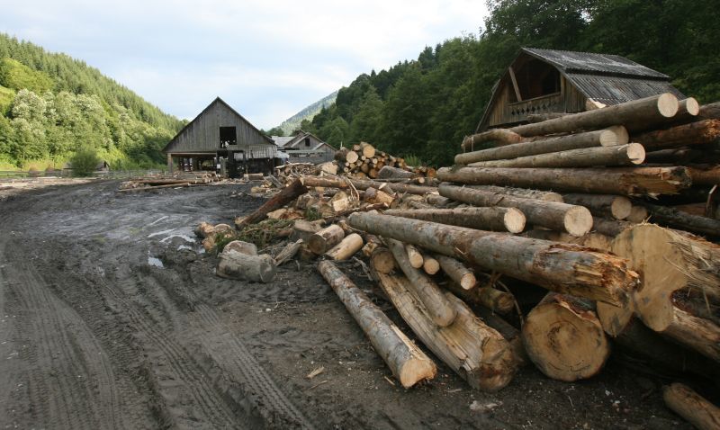 Ungureanu i-a cerut ministrului Korodi să reorganizeze Romsilva