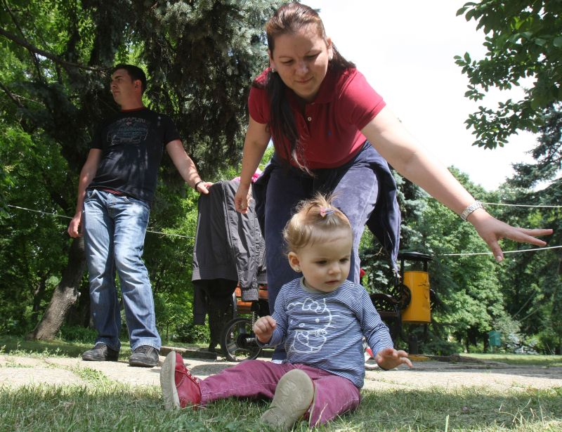 Căpuşele, coşmarul acestei veri