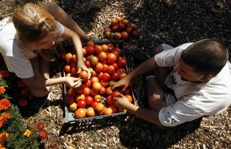 Fermierii se roagă să se oprească ploaia