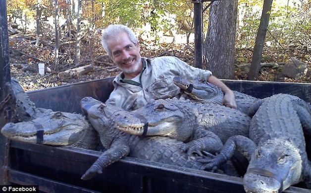 Momentul șocant în care un aligator a mușcat brațul unui om de știință| VIDEO