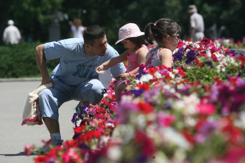 VREMEA se încălzește. VEZI care e prognoza pentru începutul de săptămână