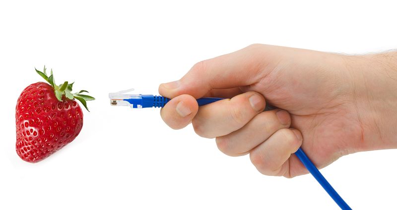 Cât cântăreşte Internetul? Cât o… căpşună!