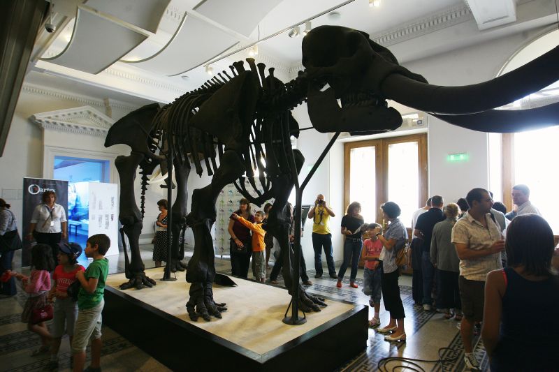 Ce poţi să visezi când dormi lângă dinozauri