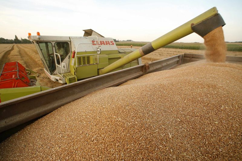Estimări din agricultură: Producţia vegetală, mai slabă decât în 2011, din cauza secetei din toamnă