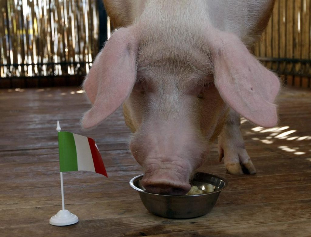 EURO 2012. Funtik a decis: Italia bate azi Anglia!