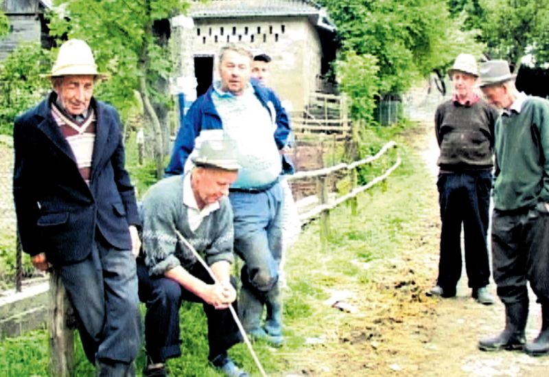 Mistreţi crescuţi pentru ştabii vânători