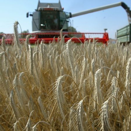 Perspective bune: Agricultura României ar putea obţine mai mulţi bani de la bugetul UE