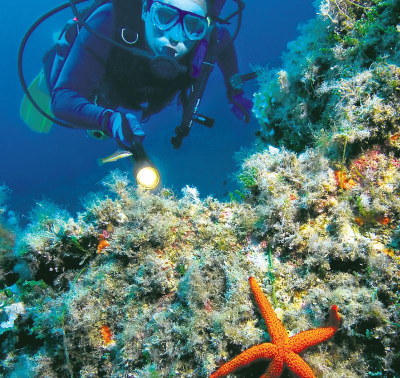 Scufundări la epavele din Marea Neagră