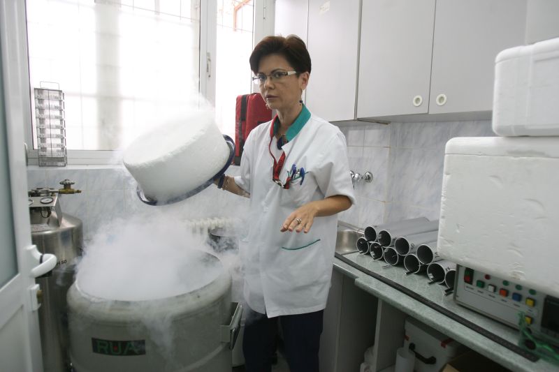 Secretele spermatozoizilor