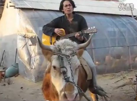 Ce au în comun o vacă, Justin Bieber şi un chinez | VIDEO