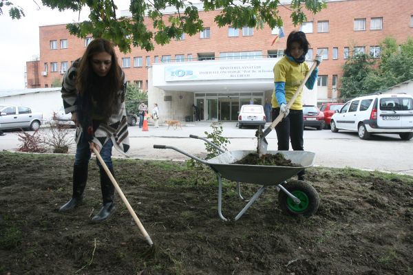 Cine răspunde de dezastrul din Tineretului!