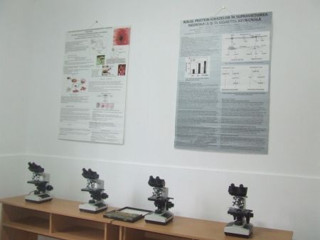 Dacă te rogi zilnic reduci riscul de a te îmbolnăvi de Alzheimer cu 50%