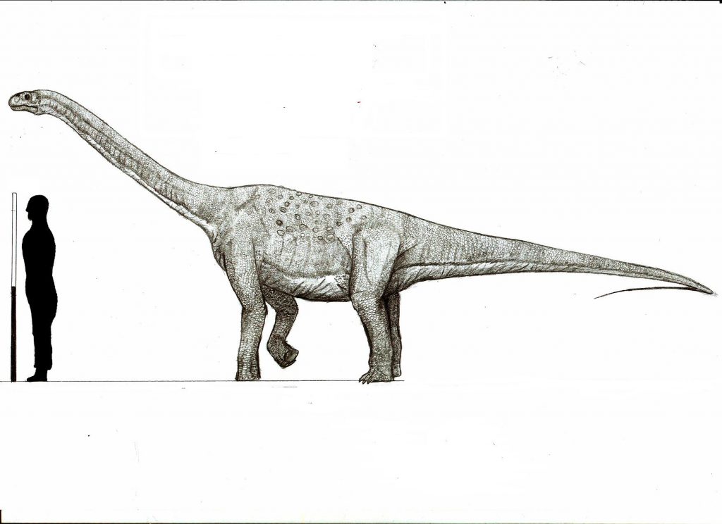 Francezii ne umilesc din nou. Au descoperit "dinozaurul ţigan, văr cu cel din România"