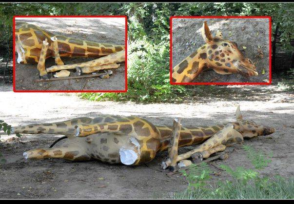 Girafa din faţa Muzeului Antipa a fost VANDALIZATĂ