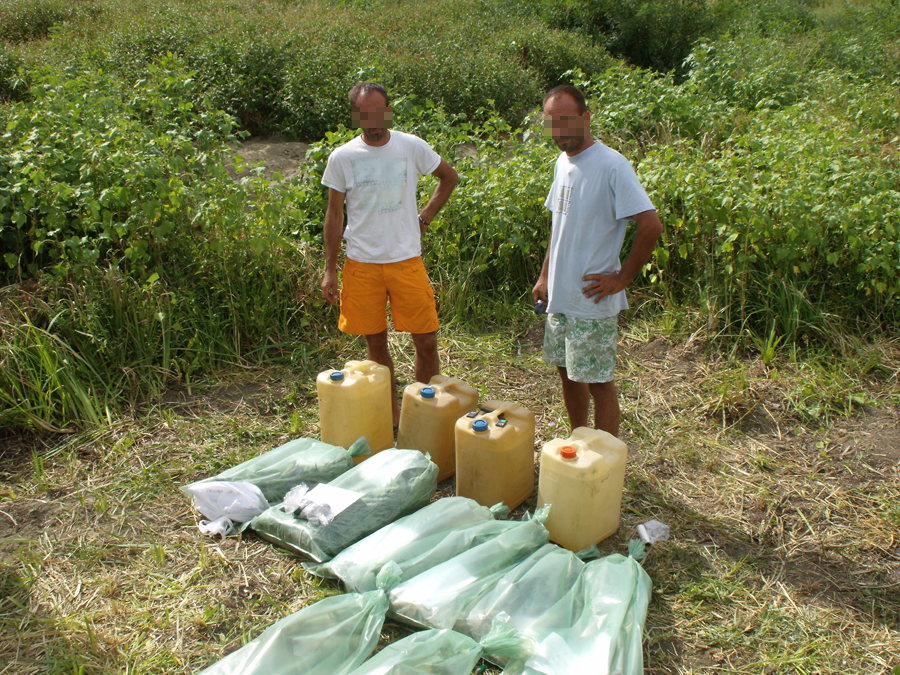 Ofereau sejur cu cannabis în Delta Dunării