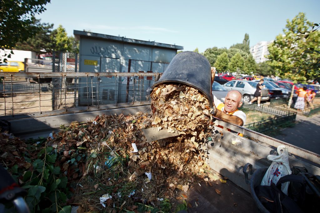 Primăria Sectorului 6 s-a trezit! A văzut în sfârşit gunoaiele care sufocau locuitorii
