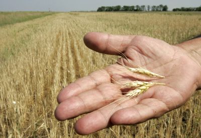 SECETA i-a dezarmat pe agricultori. România, FĂRĂ CULTURI de toamnă?